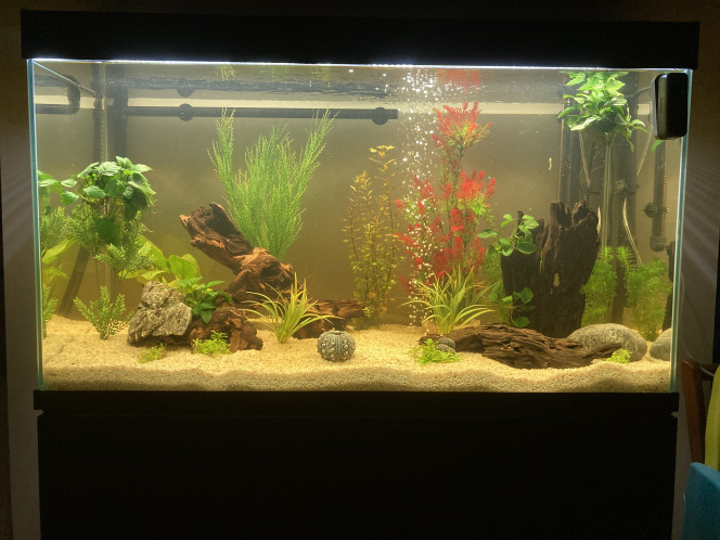 Photographie du post de Julie79 