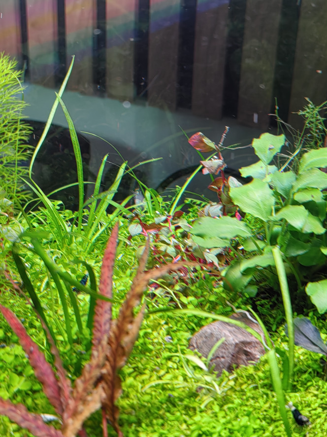 Photographie du post de Olivoliv 