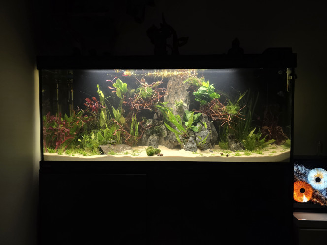  Mise en eau le 06-01-2026