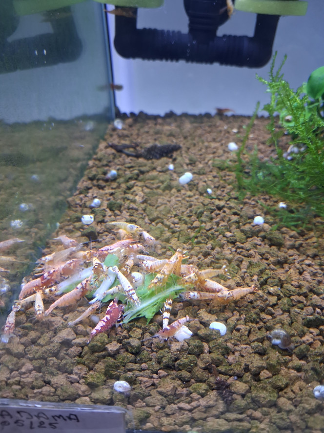 Photographie du post de PORTELLI 