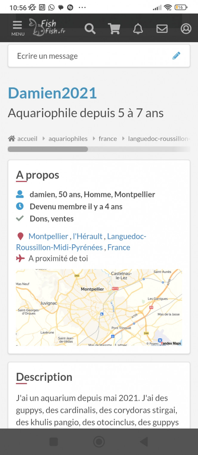 Photographie du post de Fishnships 