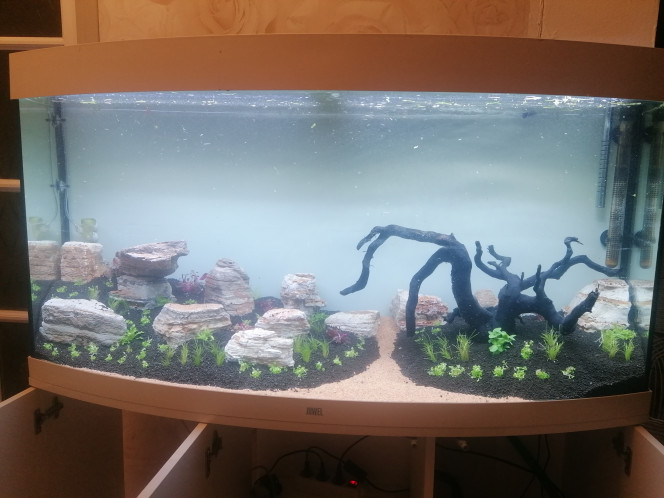 Photographie du post de Barbu62 