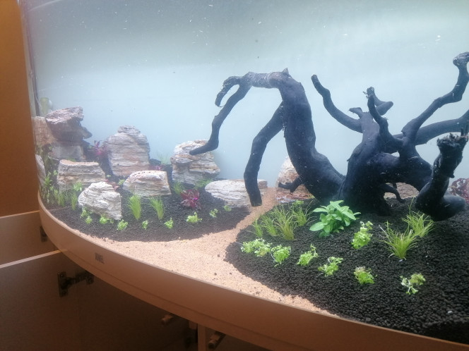 Photographie du post de Barbu62 