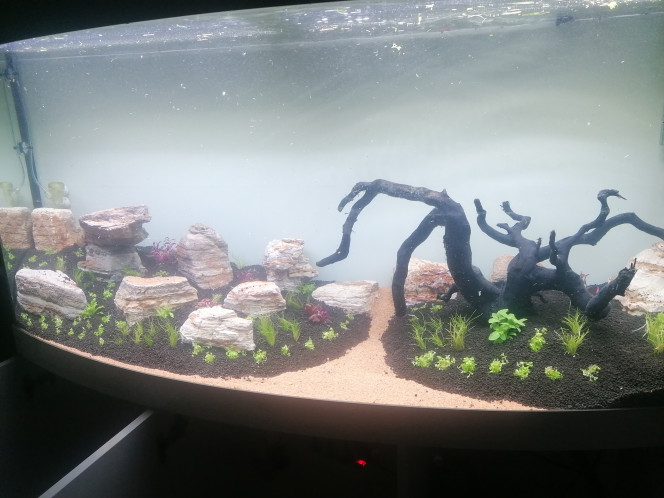 Photographie du post de Barbu62 