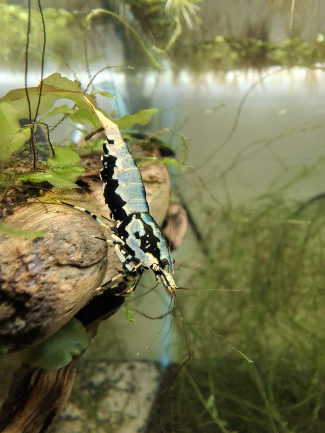 Photographie du post de Arno19 