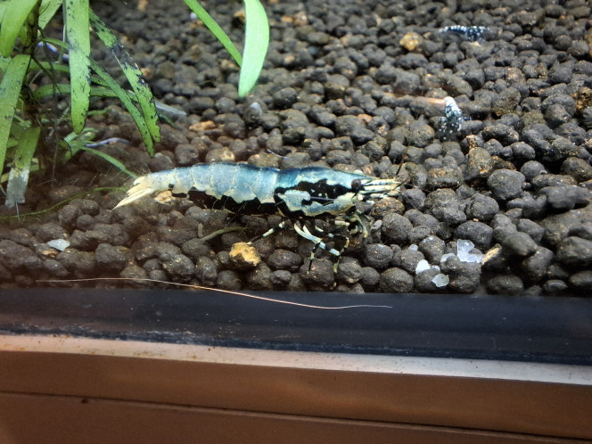 Photographie du post de Arno19 