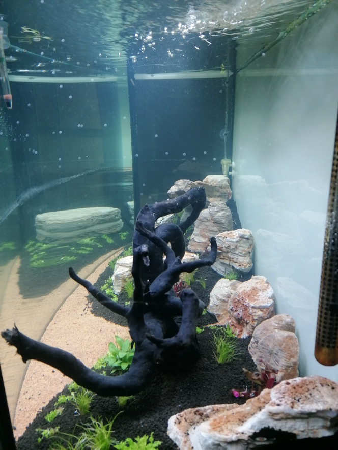 Photographie du post de Barbu62 