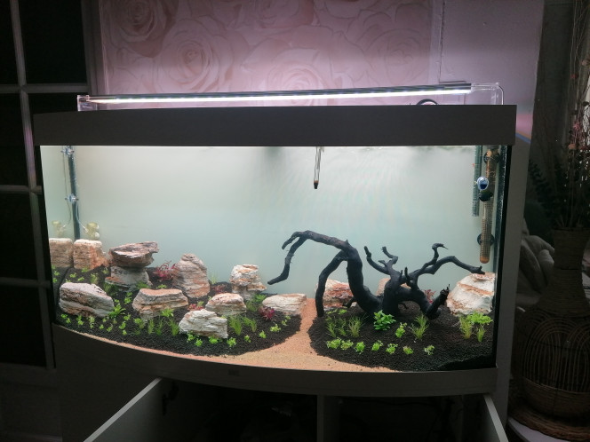 Photographie du post de Barbu62 