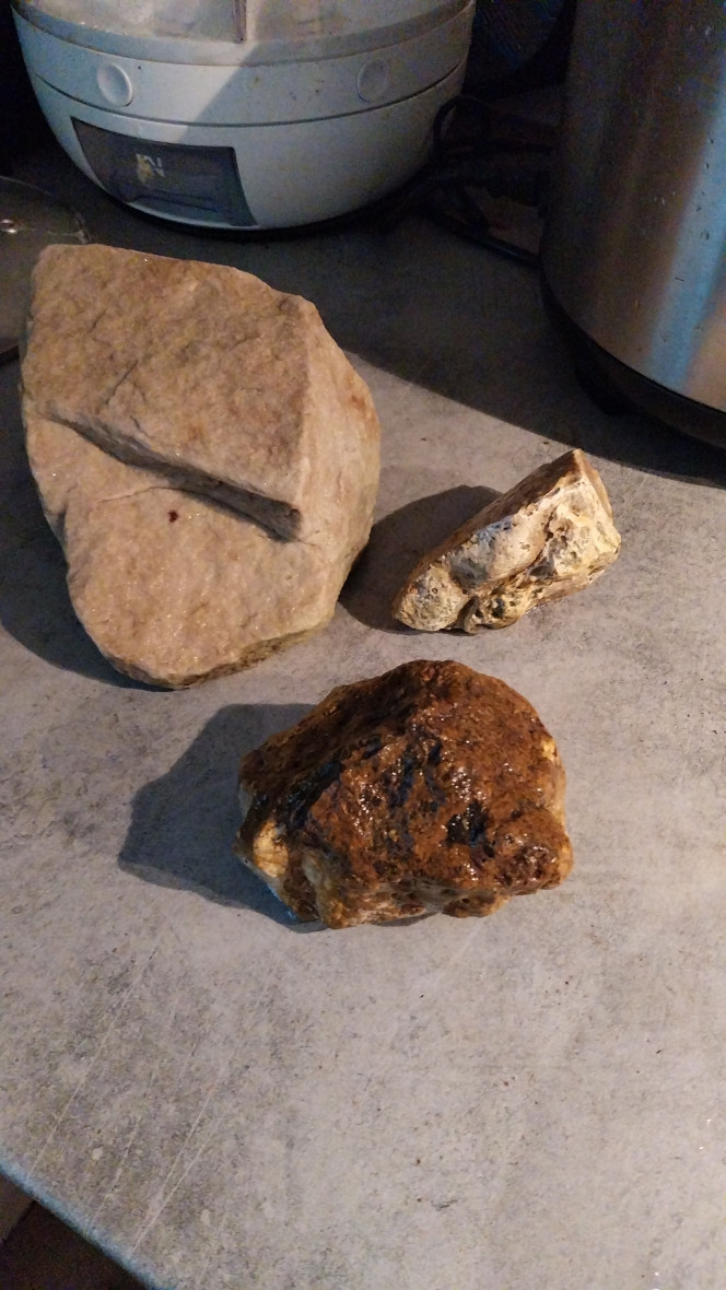 Photographie du post de Yoshi971 