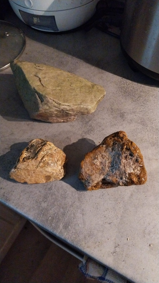 Photographie du post de Yoshi971 