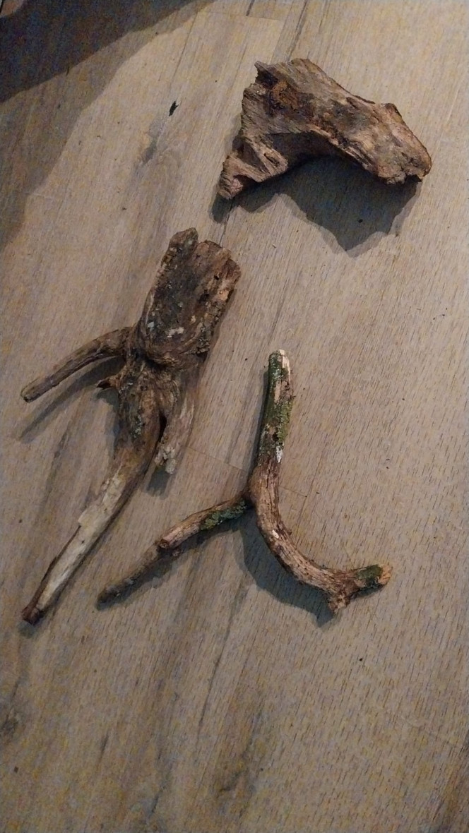 Photographie du post de Yoshi971 