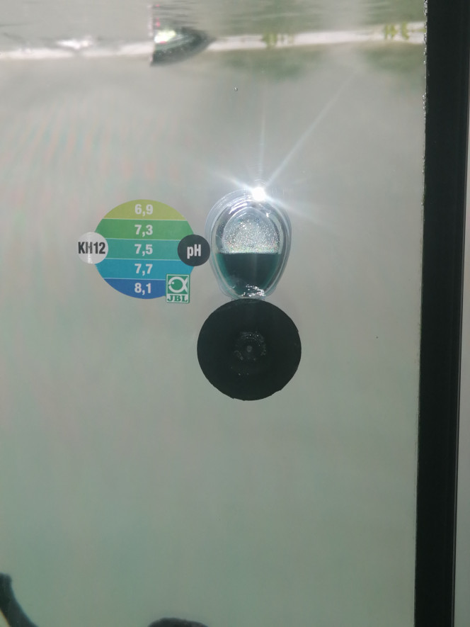 Photographie du post de Barbu62 