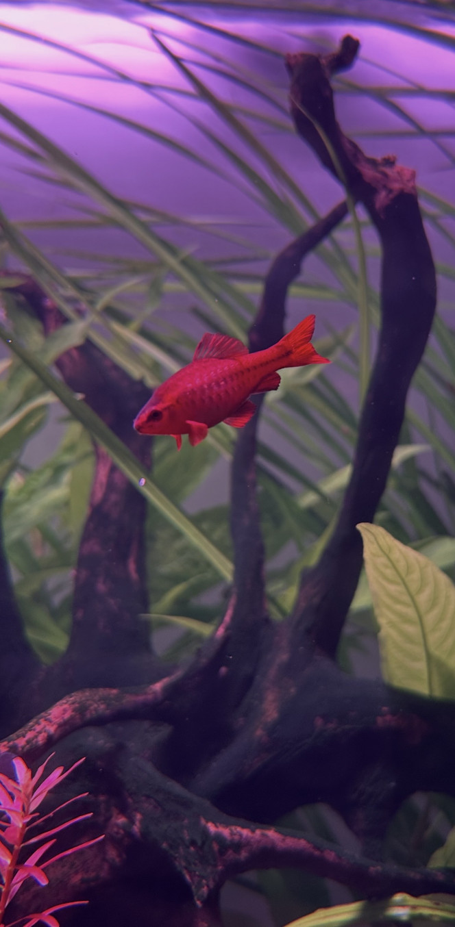 Photographie du post de Hytun14 