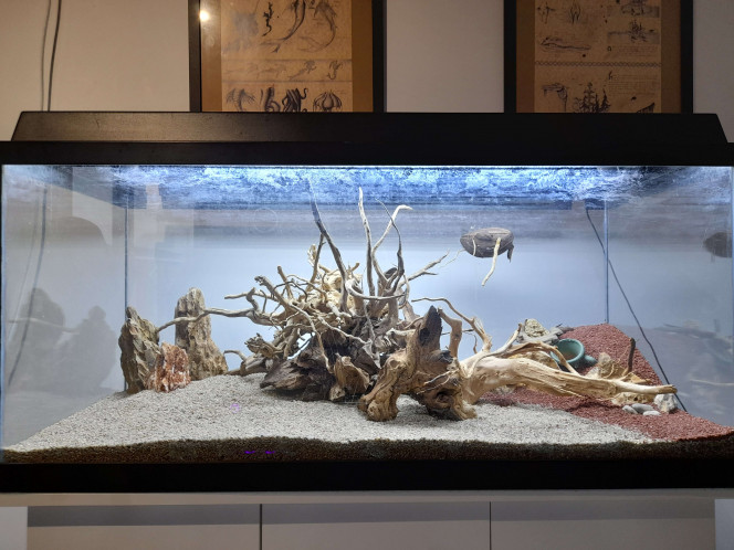  Evolution entre la mise en eau (10novembre 2024) et aujourd'hui (28février 2026)