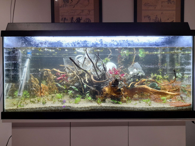  Evolution entre la mise en eau (10novembre 2024) et aujourd'hui (28février 2026)