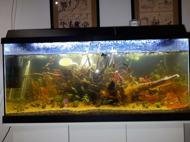  Evolution entre la mise en eau (10novembre 2024) et aujourd'hui (28février 2026)