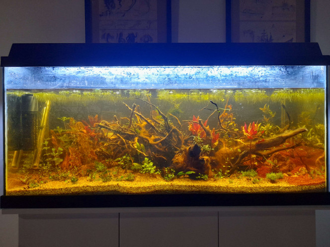  Evolution entre la mise en eau (10novembre 2024) et aujourd'hui (28février 2026)