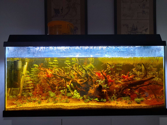  Evolution entre la mise en eau (10novembre 2024) et aujourd'hui (28février 2026)