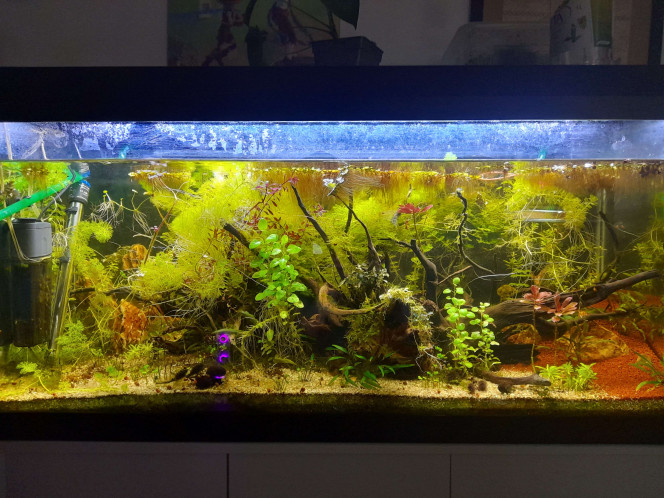  Evolution entre la mise en eau (10novembre 2024) et aujourd'hui (28février 2026)