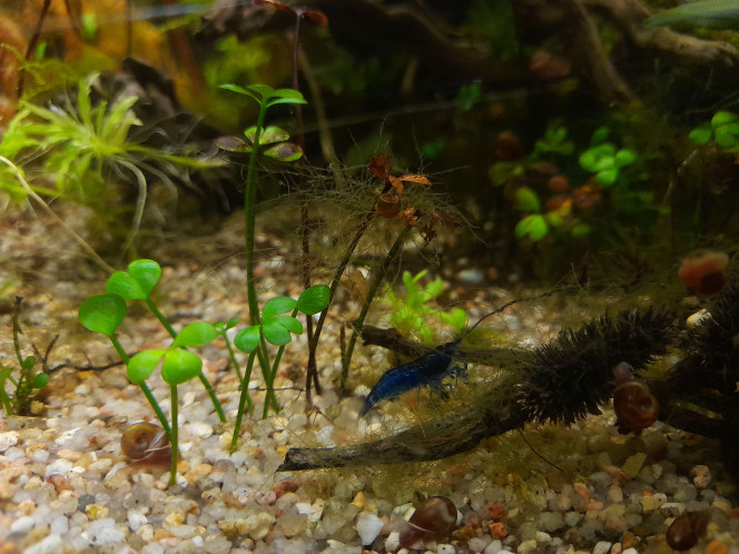  Evolution entre la mise en eau (10novembre 2024) et aujourd'hui (28février 2026)