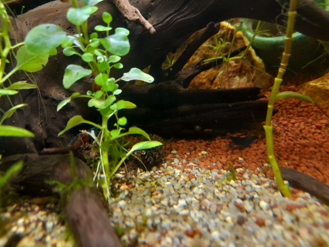  Evolution entre la mise en eau (10novembre 2024) et aujourd'hui (28février 2026)