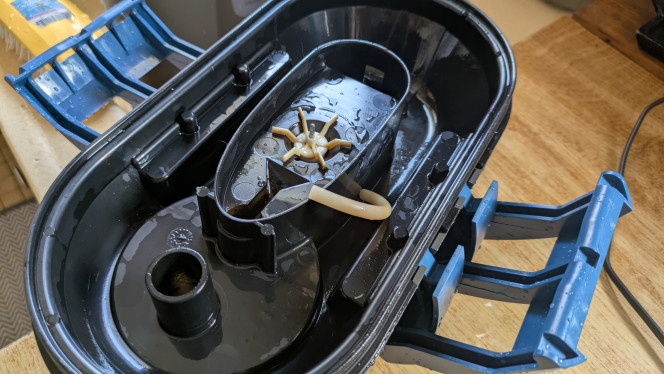 Photographie du post de ArtemusKlegg 