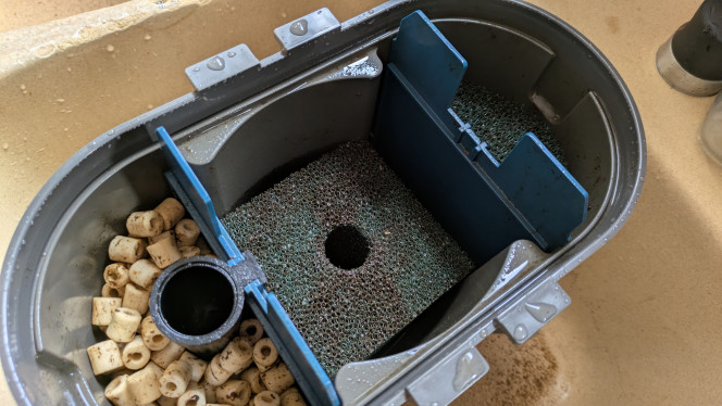 Photographie du post de ArtemusKlegg 