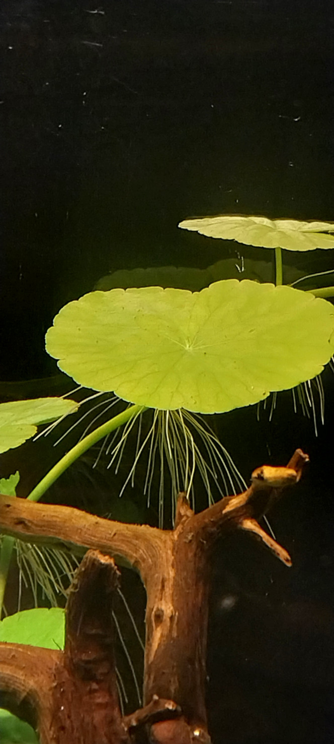 Photographie du post de STK54 