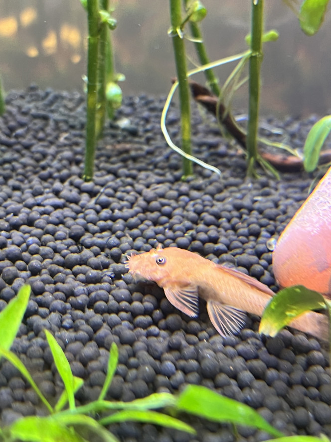 Photographie du post de Aquario442703 