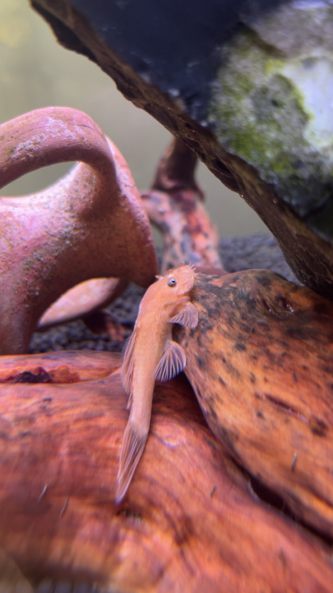 Photographie du post de Aquario442703 