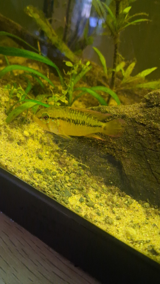 Photographie du post de Gabin_Versavel 