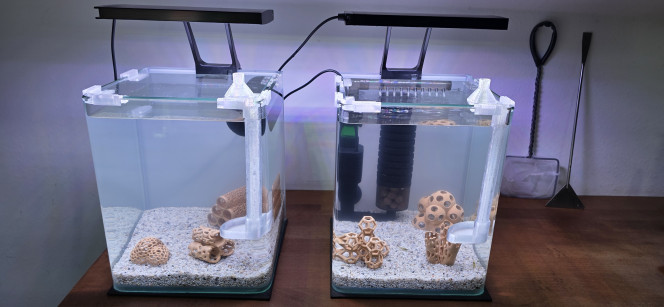 shrimp Park Bon, voilà, je vous donne des petites nouvelles de mes deux petits aquariums à crevettes.
Au final, j’ai retiré les deux filtres Superfish qui étaient tous les deux défaillants. Ils se sont mis à faire des bruits pas possibles, donc je les ai renvoyés.
N’étant pas convaincu par les filtres cascade, je me suis donc résolu à mettre un filtre à l’intérieur. Tant pis si ça prend un peu de place.
Ayant bien aimé la qualité de mes lampes LED de la marque Hygger, je me suis donc commandé des filtres de la même marque, spécial crevettes. Et ça va, je ne suis pas déçu.
La pompe est alimentée en USB (le transfo n’est pas fourni) et elle n’est pas réglable en puissance, mais à part ça, les pièces sont de bonne qualité et surtout elles ne sont pas très chères.
Ils sont juste à la bonne taille, ils ont tous les avantages des filtres exhausteurs mais sans le bruit de la pompe à air.
Voilà, je n’en ai installé qu’un seul pour le moment, parce que j’attendais de voir le produit avant de commander le deuxième. Et au final, je reçois le second mercredi.
Bonne soirée tout le monde.