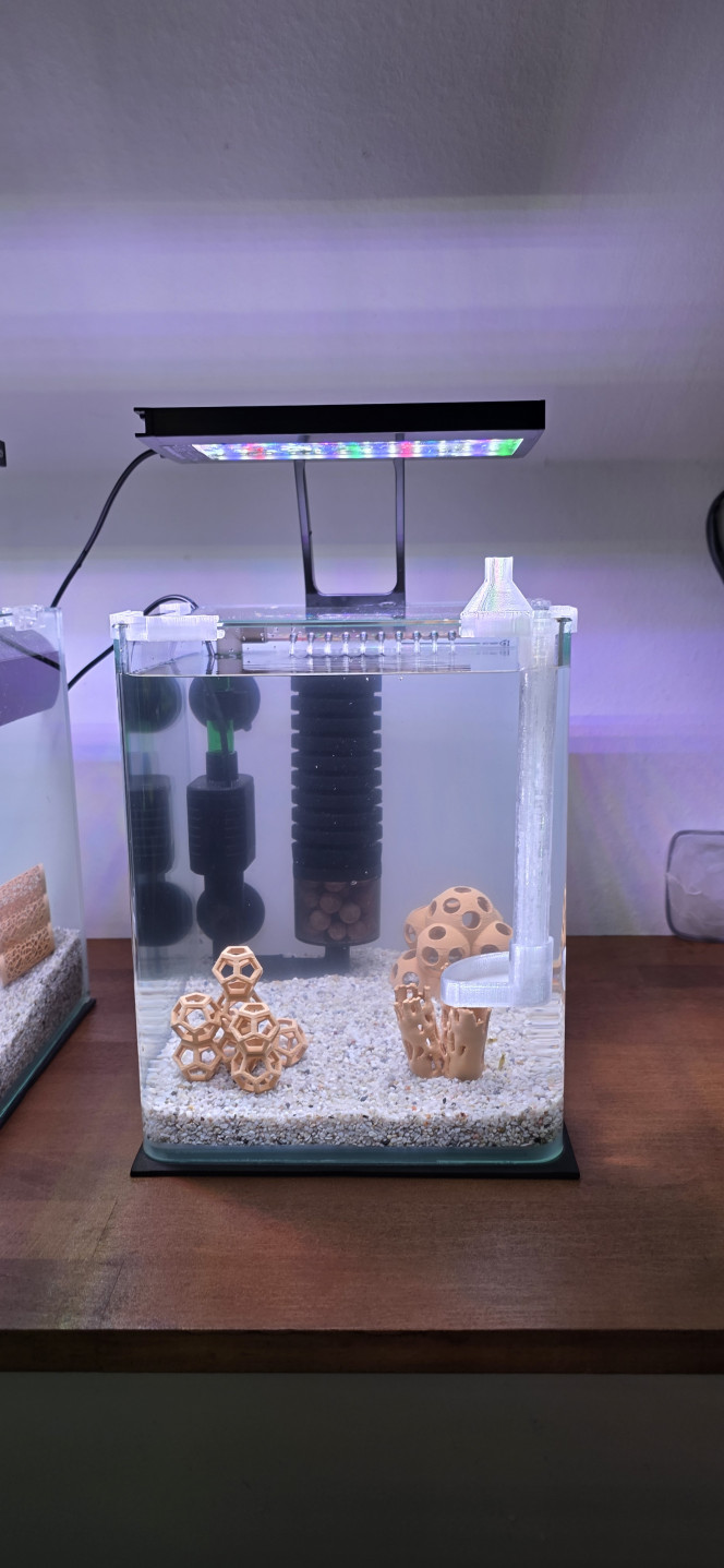 shrimp Park Bon, voilà, je vous donne des petites nouvelles de mes deux petits aquariums à crevettes.
Au final, j’ai retiré les deux filtres Superfish qui étaient tous les deux défaillants. Ils se sont mis à faire des bruits pas possibles, donc je les ai renvoyés.
N’étant pas convaincu par les filtres cascade, je me suis donc résolu à mettre un filtre à l’intérieur. Tant pis si ça prend un peu de place.
Ayant bien aimé la qualité de mes lampes LED de la marque Hygger, je me suis donc commandé des filtres de la même marque, spécial crevettes. Et ça va, je ne suis pas déçu.
La pompe est alimentée en USB (le transfo n’est pas fourni) et elle n’est pas réglable en puissance, mais à part ça, les pièces sont de bonne qualité et surtout elles ne sont pas très chères.
Ils sont juste à la bonne taille, ils ont tous les avantages des filtres exhausteurs mais sans le bruit de la pompe à air.
Voilà, je n’en ai installé qu’un seul pour le moment, parce que j’attendais de voir le produit avant de commander le deuxième. Et au final, je reçois le second mercredi.
Bonne soirée tout le monde.