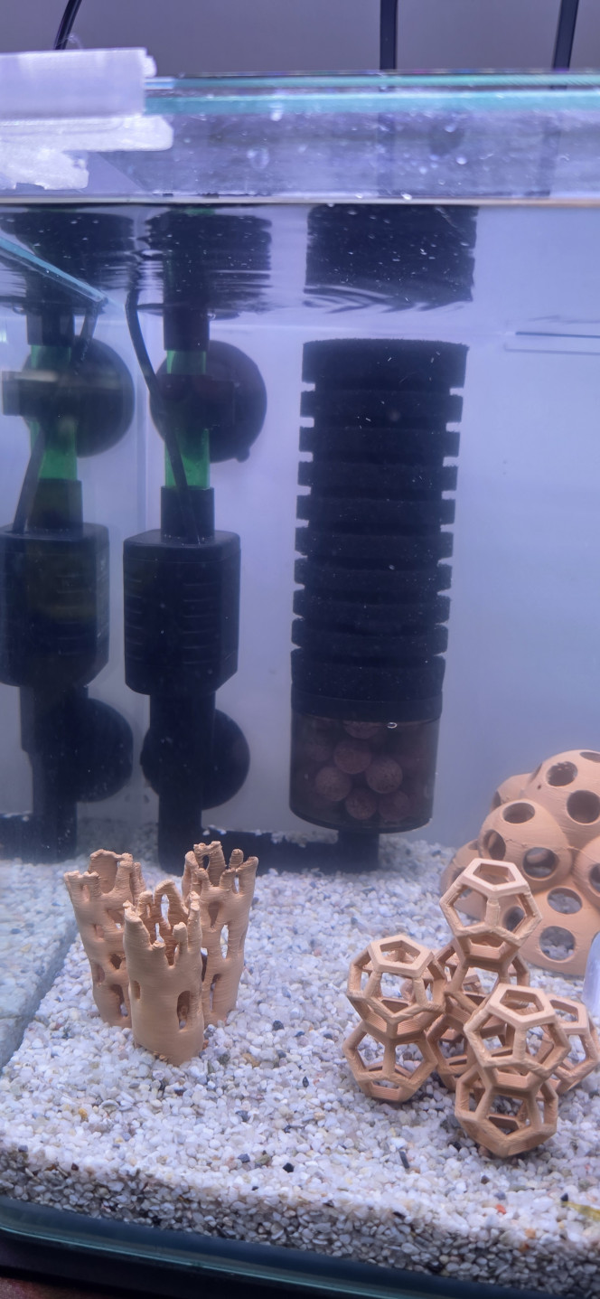 shrimp Park Bon, voilà, je vous donne des petites nouvelles de mes deux petits aquariums à crevettes.
Au final, j’ai retiré les deux filtres Superfish qui étaient tous les deux défaillants. Ils se sont mis à faire des bruits pas possibles, donc je les ai renvoyés.
N’étant pas convaincu par les filtres cascade, je me suis donc résolu à mettre un filtre à l’intérieur. Tant pis si ça prend un peu de place.
Ayant bien aimé la qualité de mes lampes LED de la marque Hygger, je me suis donc commandé des filtres de la même marque, spécial crevettes. Et ça va, je ne suis pas déçu.
La pompe est alimentée en USB (le transfo n’est pas fourni) et elle n’est pas réglable en puissance, mais à part ça, les pièces sont de bonne qualité et surtout elles ne sont pas très chères.
Ils sont juste à la bonne taille, ils ont tous les avantages des filtres exhausteurs mais sans le bruit de la pompe à air.
Voilà, je n’en ai installé qu’un seul pour le moment, parce que j’attendais de voir le produit avant de commander le deuxième. Et au final, je reçois le second mercredi.
Bonne soirée tout le monde.