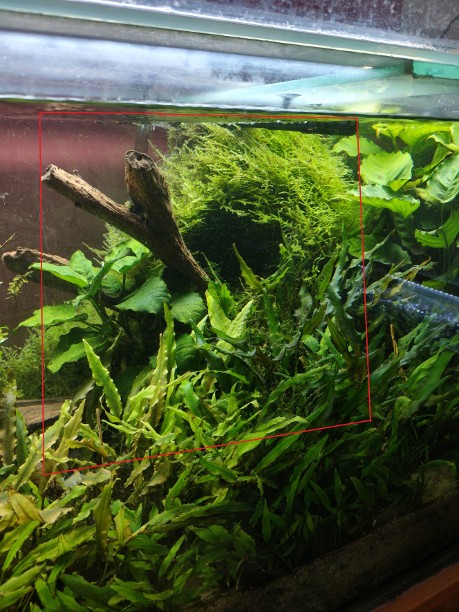 Photographie du post de shanganagh-takhisis 