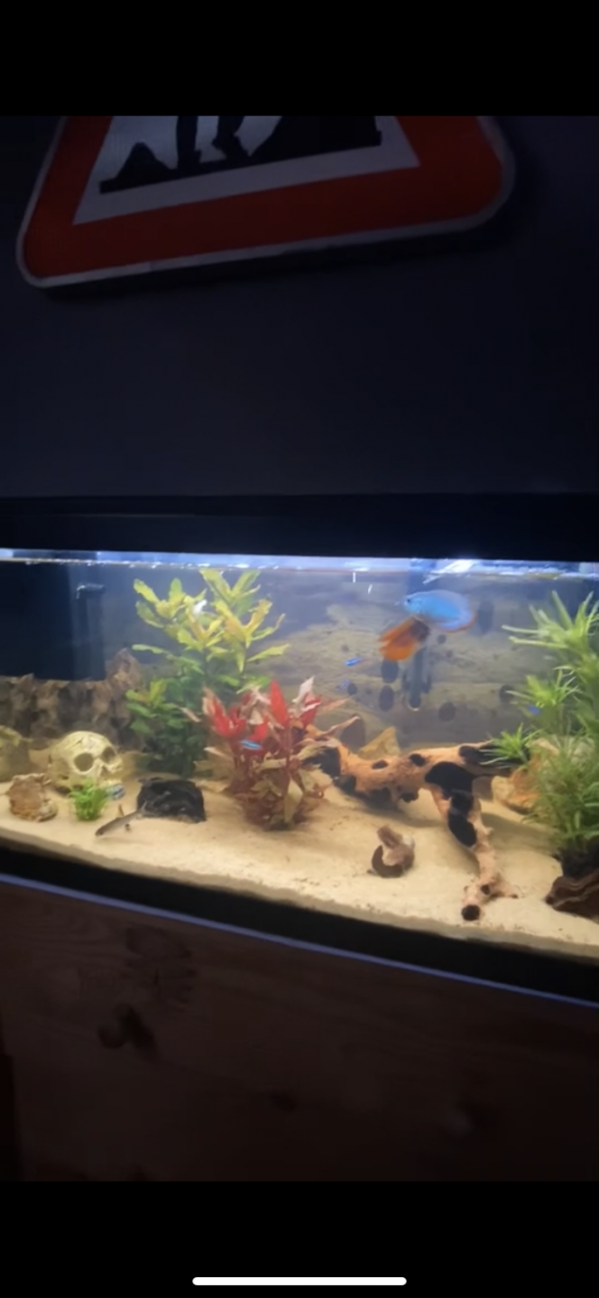 Photographie du post de Hugggoooo5 