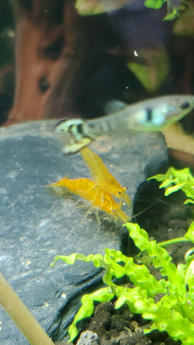 Photographie du post de Mariekiwi 