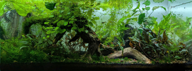 Orogénèse Quelques cailloux sont sortis de terre