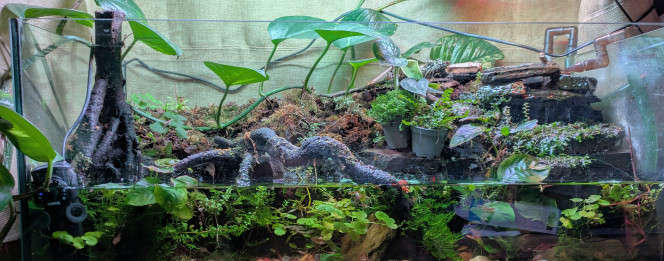 Juste une photo Je vais faire quelques plantations. 
Les pots attendent depuis 2 semaines