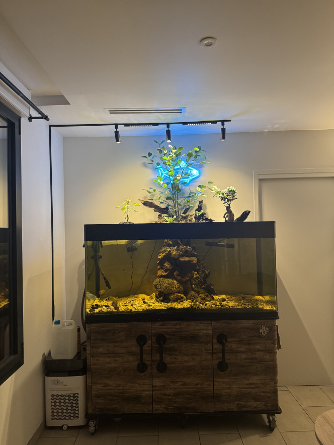 Photographie du post de Mathieuvivien 