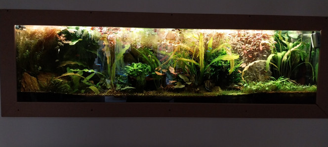 Photographie du post de STK54 