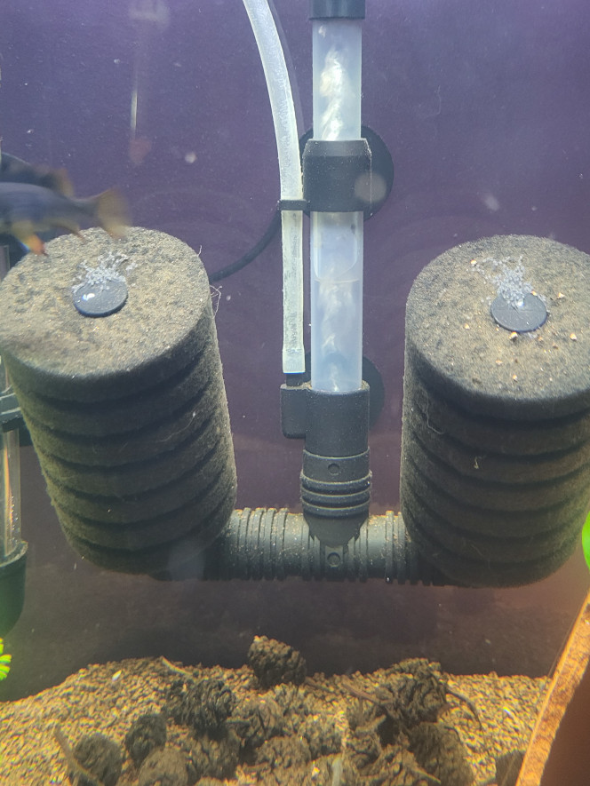 Photographie du post de Tedd80 