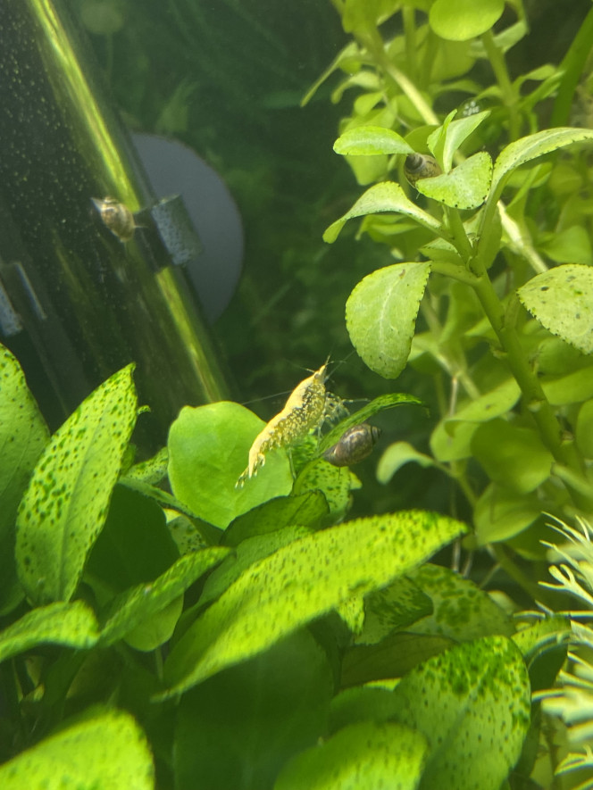 Photographie du post de Drexler 