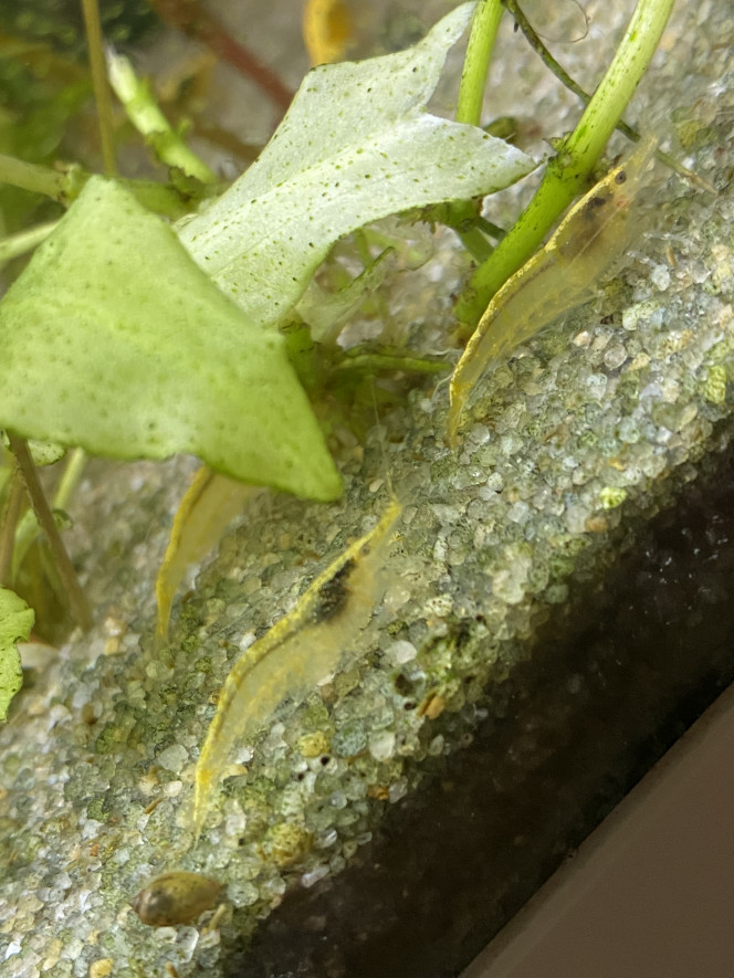 Photographie du post de Drexler 