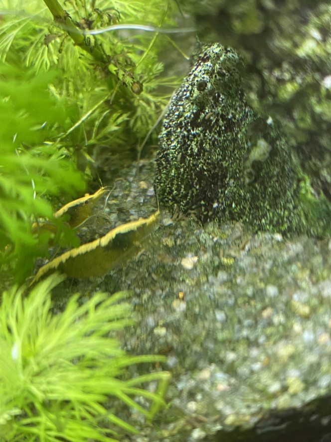 Photographie du post de Drexler 