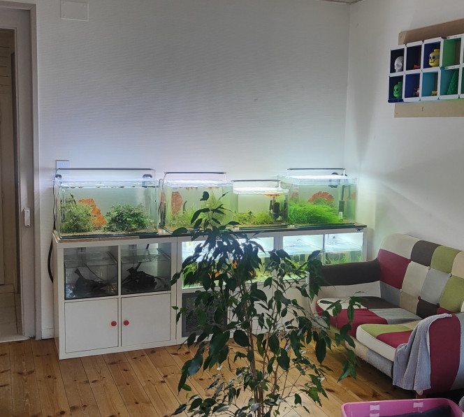 Photographie du post de ducatbee74 