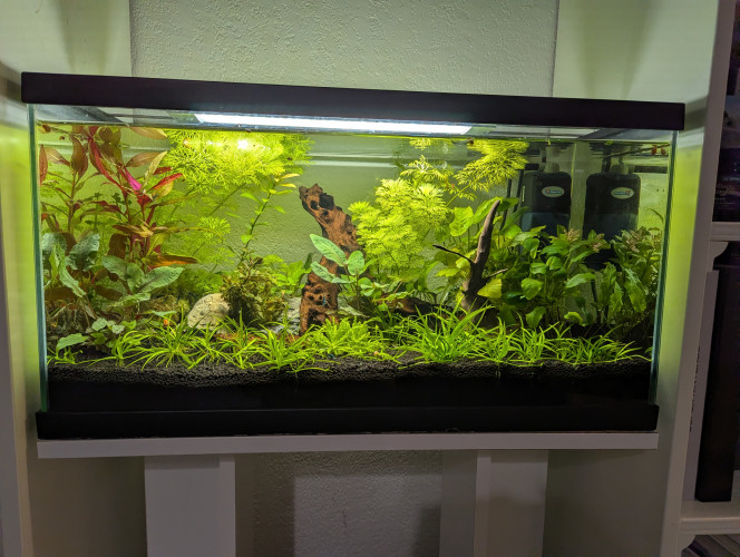 Photographie du post de Eosss 