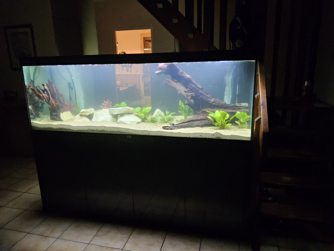 Photographie du post de Papou1511 