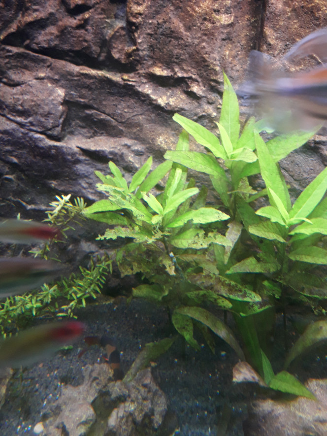 Photographie du post de jm25 