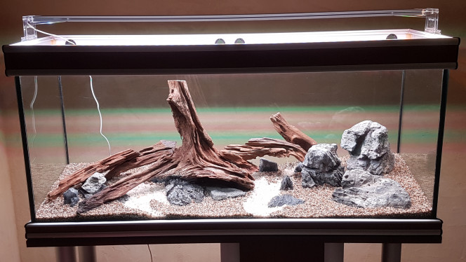 Photographie du post de Afra17 